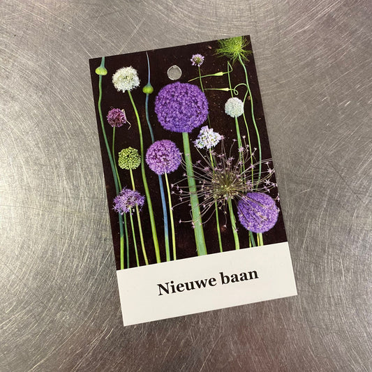 Wenskaartje - Nieuwe Baan