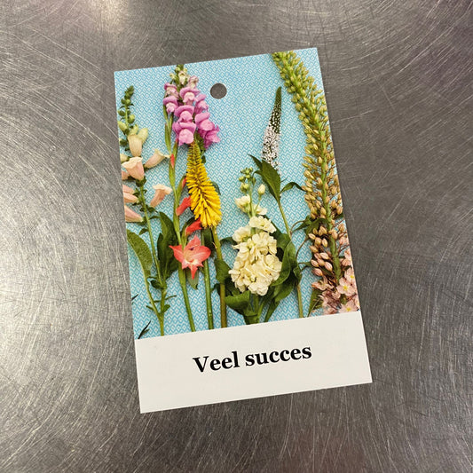Wenskaartje - Veel succes
