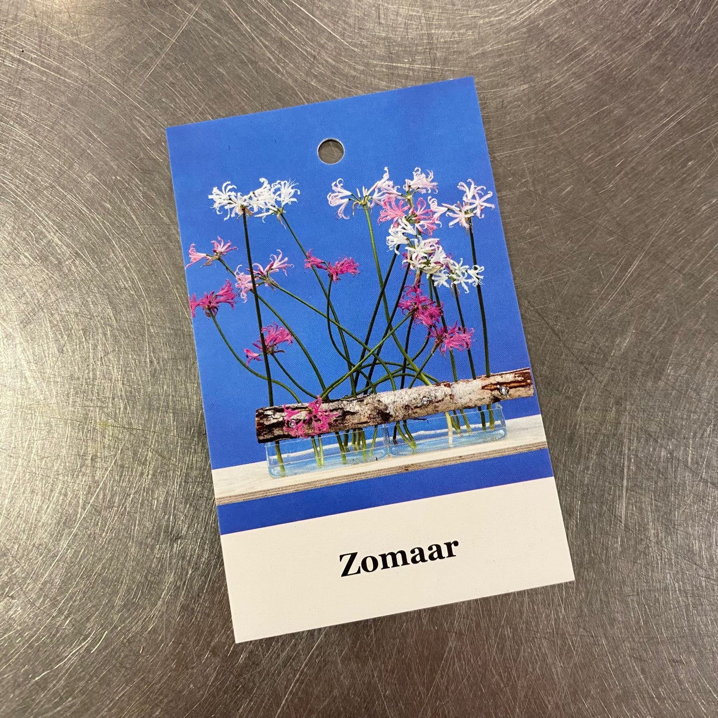 Wenskaartje - Zomaar